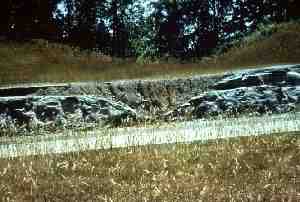 What is the lowest elevation in Indiana?