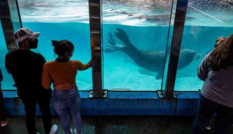 Coolest Thing Made in Indiana tournament reaches Sweet 16