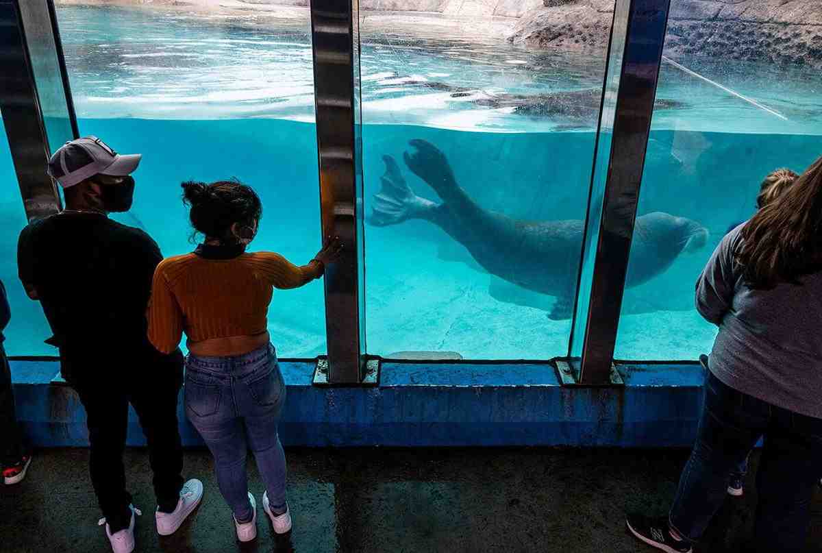 Coolest Thing Made in Indiana tournament reaches Sweet 16