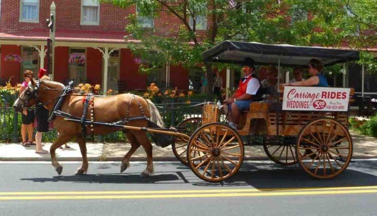 Surprise, Surprise: Indiana Opens as Slight Road Favorite at Maryland