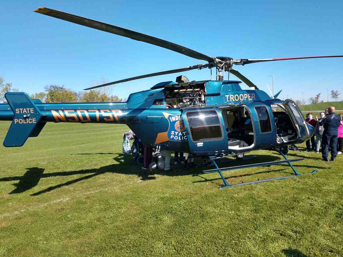 Are dogs allowed in Lewis and Clark National Forest?