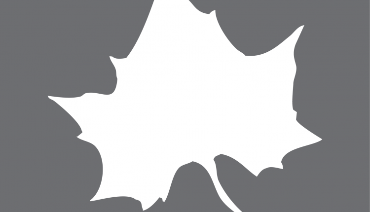 Naturally Speaking: The Indiana State Forests | Community | washtimesherald.com