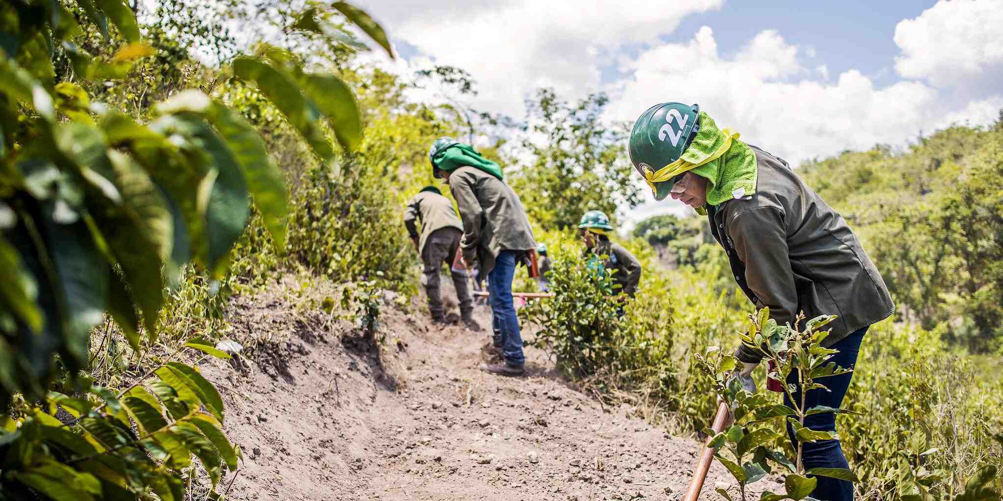 What county is Elijah Clark State Park in?