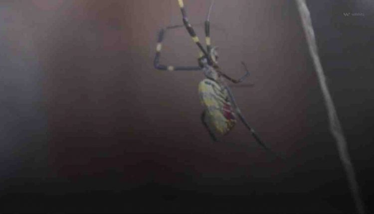 Indiana lawmakers seek possible special session on abortion